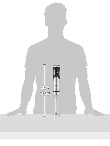 Amazon Basics Multi-Speed Immersion Hand Blender for Kitchen Mixing, Smoothies, Soups, 500 Watt Powerful, Silver