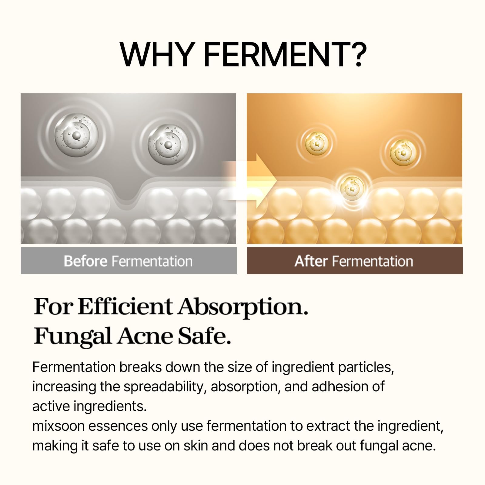 mixsoon Bean Glass Skin Duo Set Bean Essence 50ml + Bean Cream 50ml